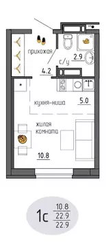 Студия Пермский край, Пермь Ижевская ул., 38 (22.9 м)