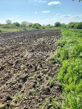 Участок в Ростовская область, Аксайский район, Грушевское с/пос, ...