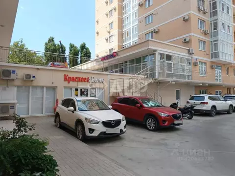 Помещение свободного назначения в Краснодарский край, Новороссийск ...