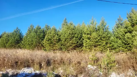 Участок в Свердловская область, Верхняя Пышма городской округ, с. ...