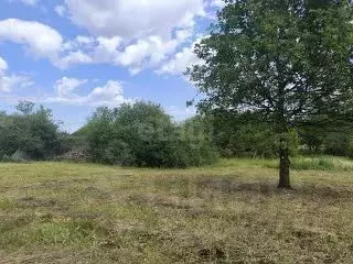 Участок в Белгородская область, Белгородский район, Дубовское с/пос, ...