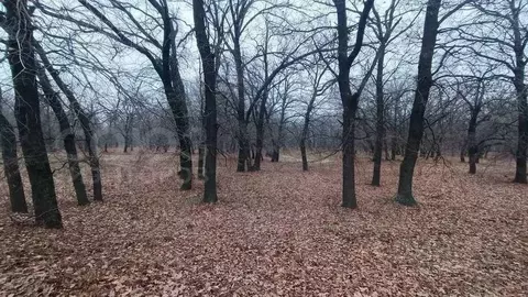 Участок в Волгоградская область, Среднеахтубинский район, ...