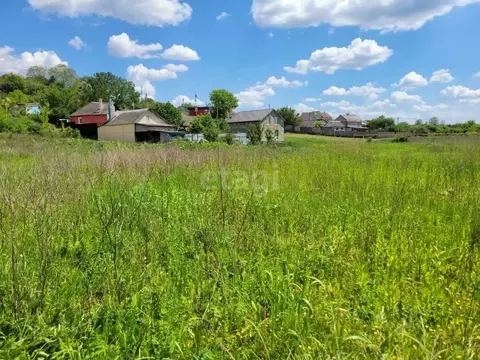 Участок в Белгородская область, Белгородский район, с. Стрелецкое ...
