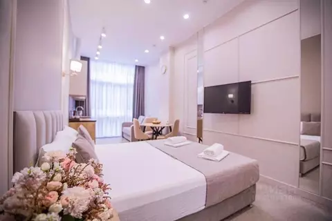 1-к кв. Краснодарский край, Сочи Центральный мкр, ул. Навагинская, ...