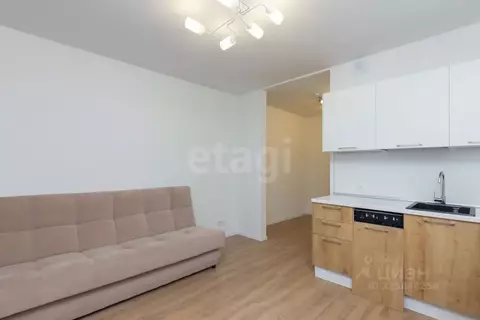 Студия Тюменская область, Тюмень ул. Юрия Рогачева, 11к2 (22.0 м)