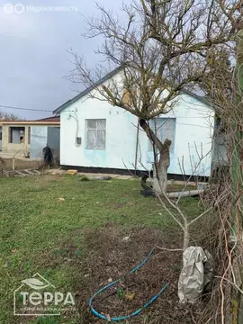 Дом в Наташино, Полевая улица, 13 (61.6 м)