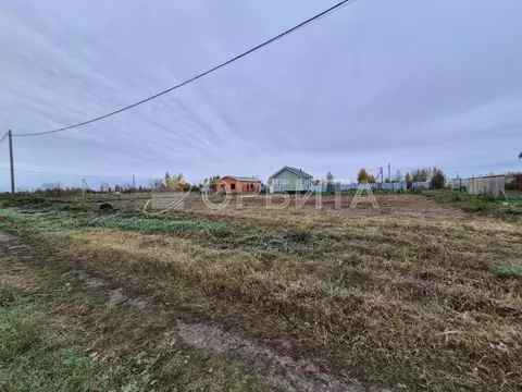 Участок в Тюменская область, Тюмень Большое Царево-2 СНТ,  (9.86 сот.)