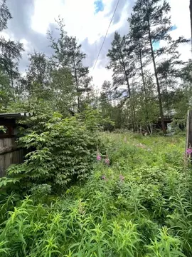 Участок в Саха (Якутия), Якутск городской округ, с. Маган  (6.0 сот.)