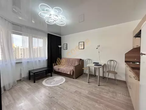 Студия Санкт-Петербург просп. Королева, 64к1 (26.0 м)