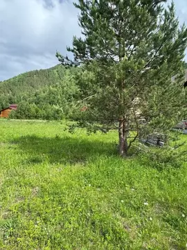 Участок в Алтай, Чемальский район, с. Чемал ул. Березовая, 19 (11.85 ...
