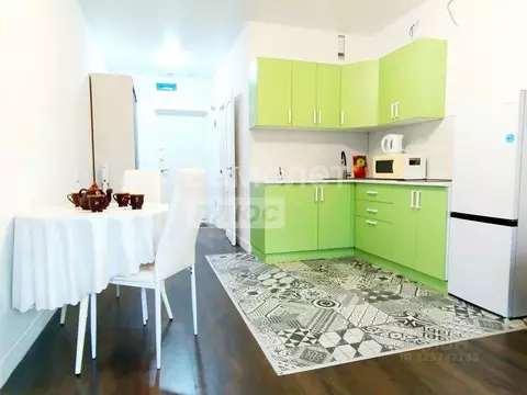 Студия Москва просп. Прокшинский, 12 (26.0 м)