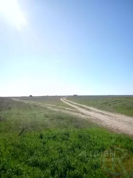 Участок в Крым, Сакский район, Молочненское с/пос, с. Витино  (6.0 ...