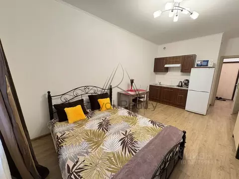 Студия Санкт-Петербург ул. Плесецкая, 20к1 (24.0 м)