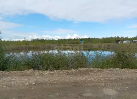 Дом в Саха (Якутия), Покровск Западная ул., 23 (80 м)