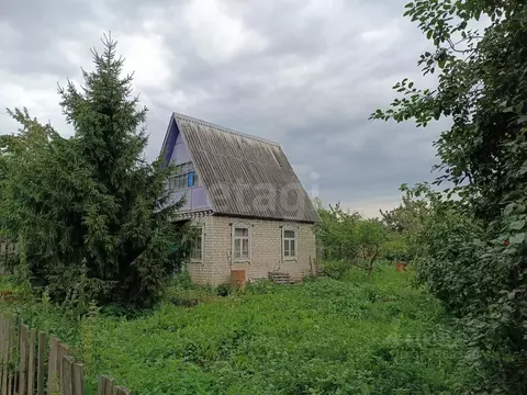 Дом в Курганская область, Курган Золотая Нива СНТ, 55 (26 м)