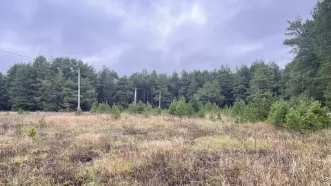 Участок в Тверская область, Конаковский муниципальный округ, пос. ...