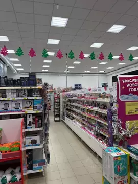 Торговая площадь в Ростовская область, пос. Орловский ул. Максима ...