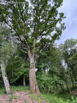 Участок в сельское поселение Малаховское, КП Нова лайф (15.3 м)