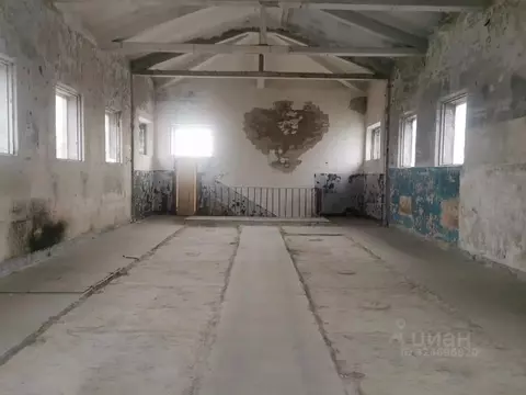 Помещение свободного назначения в Санкт-Петербург Кожевенная линия, ...