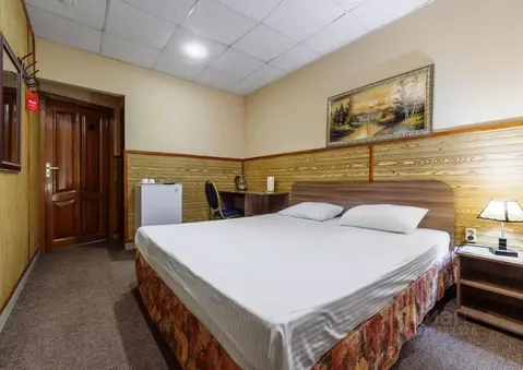 Комната Воронежская область, Воронеж Средне-Московская ул., 7 (20.0 м)