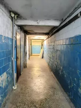 Студия Пензенская область, Пенза просп. Строителей, 3 (17.0 м)