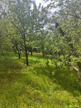 Участок в Ростовская область, Новочеркасск Радужная ул., 55 (7.0 сот.)