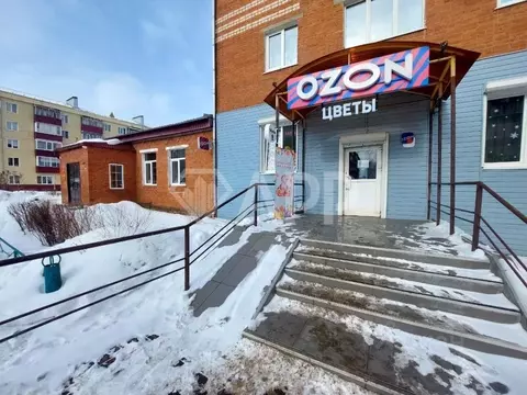 Помещение свободного назначения в Татарстан, Агрыз пер. Максима ...