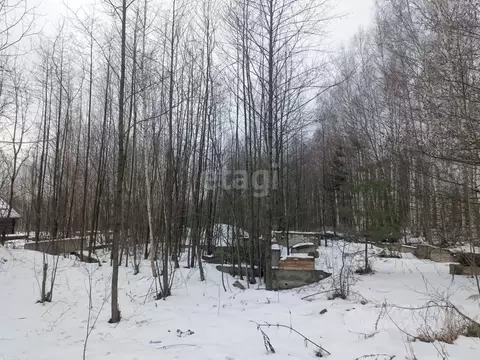 Участок в Нижегородская область, Выкса городской округ, с. Борковка, ...