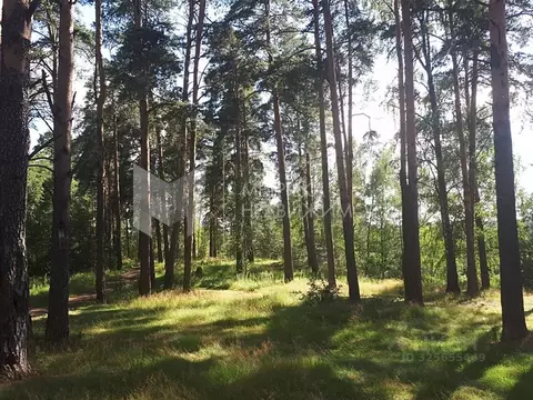 Участок в Тюменская область, Тюмень ул. Ягодная (5.0 сот.)