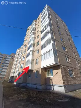 1-комнатная квартира: Красное Село, улица Освобождения, 33к1 (38.3 м)