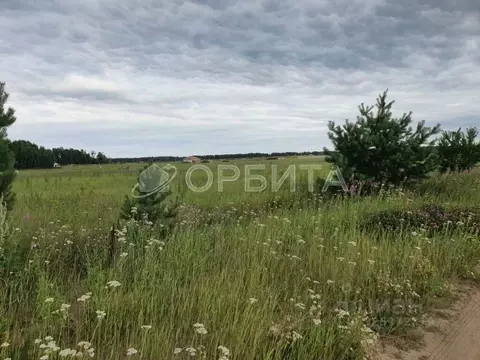 Участок в Тюменская область, Тюменский муниципальный округ, с. ...