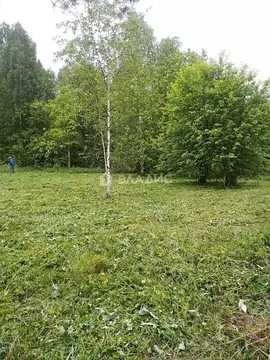 Участок в Вологодская область, Усть-Кубинский муниципальный округ, ...