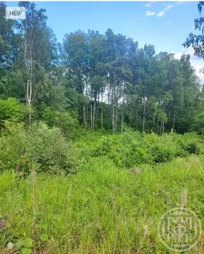 Участок в Ленинградская область, Всеволожский район, Колтушское ...