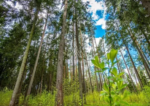 Участок в Московская область, Одинцовский городской округ, Тайм кп  ...