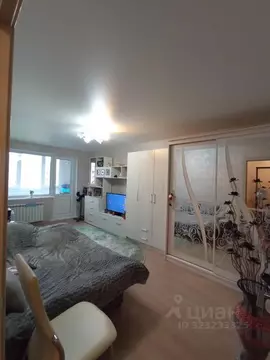 1-к кв. Нижегородская область, Богородск ул. Туркова, 10 (33.3 м)