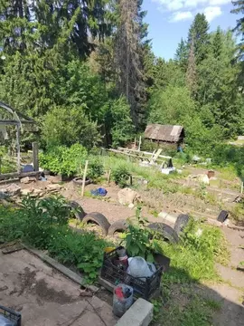 Дом в Пермский край, Пермь № 229 КС,  (20 м)