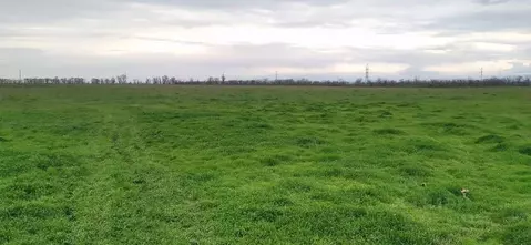 Участок в Крым, Симферопольский район, Перовское с/пос, с. Ключи ул. ...