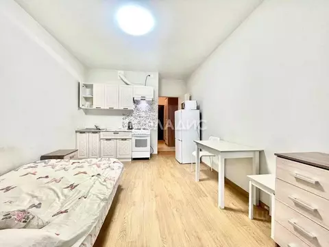 Студия Санкт-Петербург просп. Маршала Блюхера, 7к1 (25.0 м)