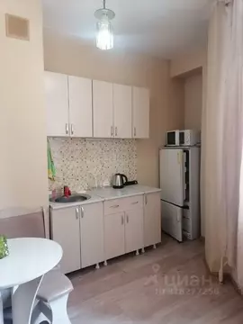 Студия Красноярский край, Красноярск ул. Вильского, 16 (20.0 м)