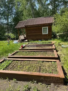 Участок в Иркутская область, Иркутский муниципальный округ, с. Мамоны, ...