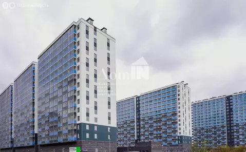 2-комнатная квартира: Мурино, Графская улица, 6к1 (50.3 м)