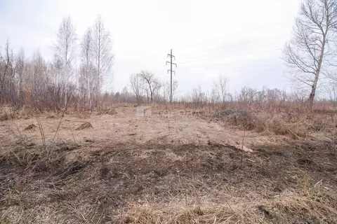 Участок в Алтайский край, Первомайский район, с. Березовка ул. ...