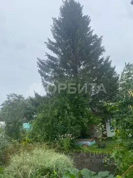 Дом в Тюменская область, Тюмень Здоровье садовое товарищество, ул. ...