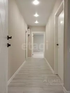 2-к кв. Пермский край, Пермь Пушкарская ул., 100 (52.9 м)