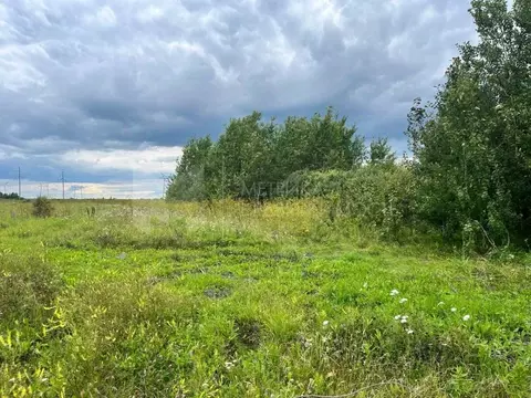 Участок в Тюменская область, Тюмень  (6.35 сот.)