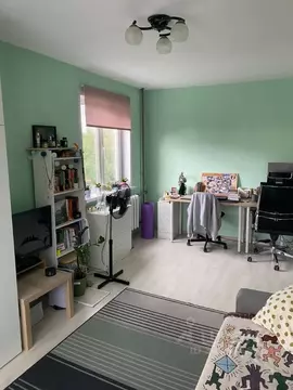 1-к кв. Новосибирская область, Новосибирск ул. Гоголя, 43 (31.0 м)