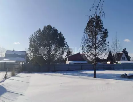 Участок в Тюменская область, Тюменский муниципальный округ, Исток СНТ ...