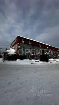 Помещение свободного назначения в Тюменская область, Тюмень ул. ...