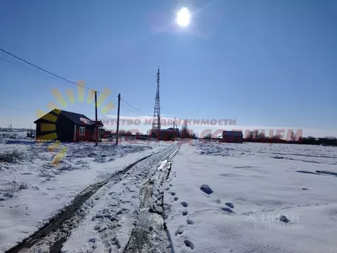 Участок в Краснодарский край, Ейский район, Александровское с/пос, с. ...