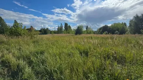 Участок в Московская область, Ступино городской округ, с. Хонятино  ...